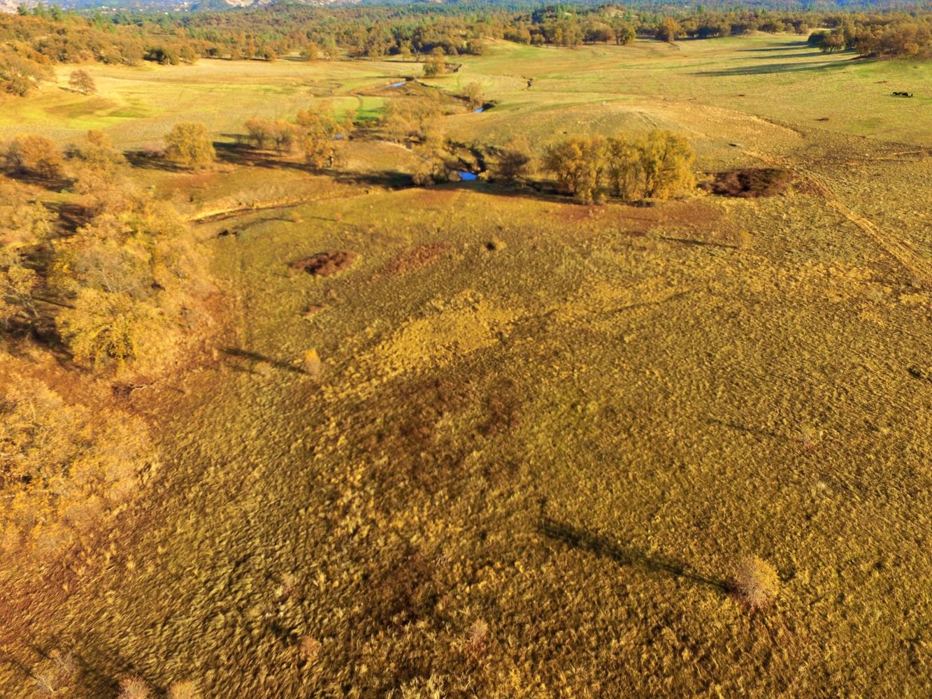Bella Vista Development Opportunity: 60 acres, Hwy 299E, Redding, CA 96003